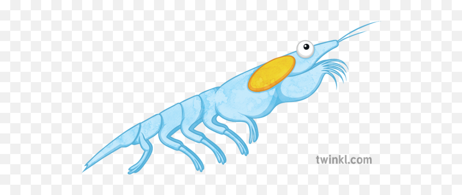 Plankton 2 Illustration - Twinkl Illustration Png,Plankton Png