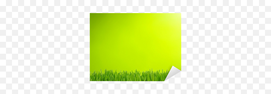 Grass And Green Background Sticker U2022 Pixers - We Live To Change Artificial Turf Png,Green Background Png
