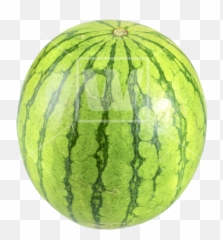 Watermelon Juice Slice - Transparent Background Full png