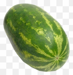 Watermelon Png Background - Diyarbakr Karpuzu,Watermelon Png