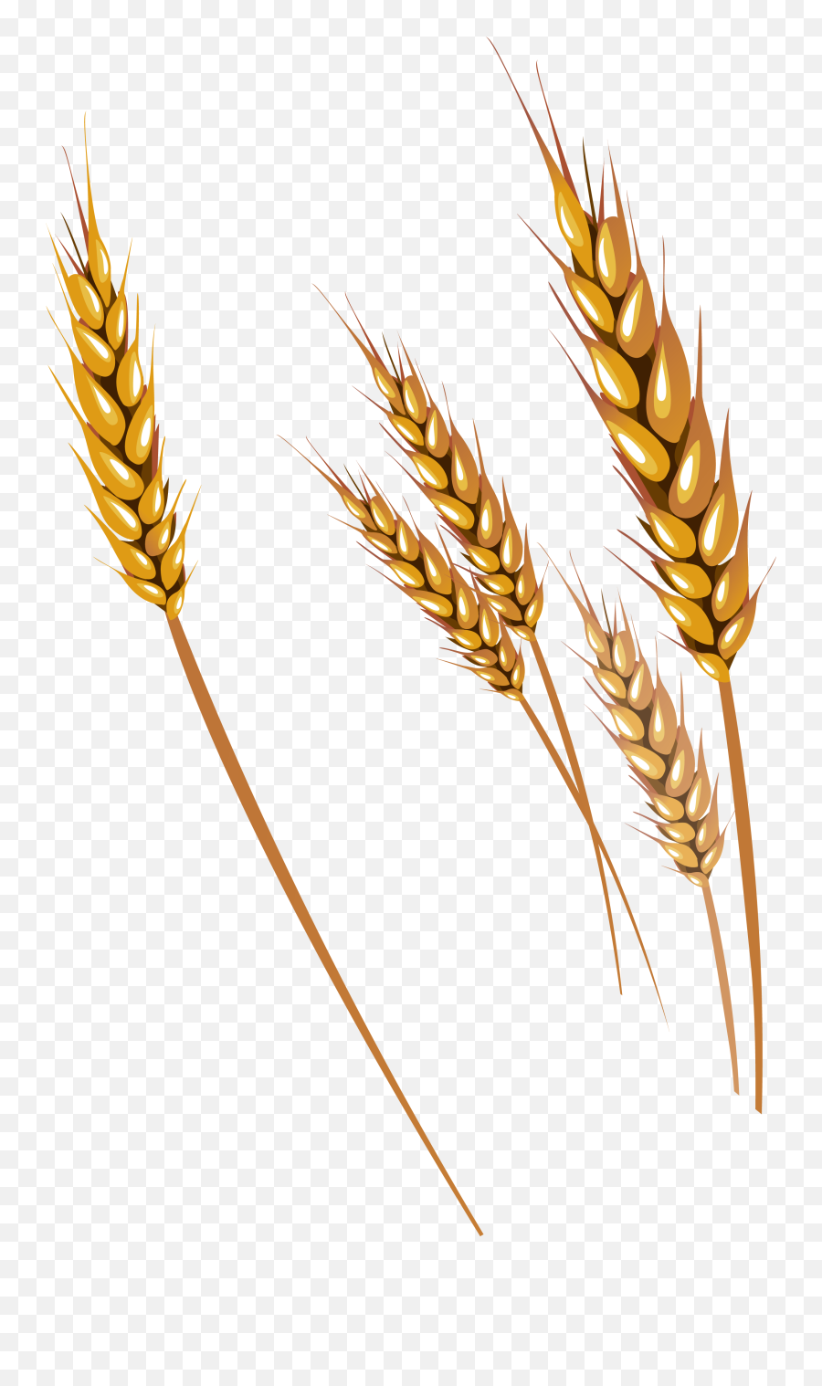 Free Png Wheat Images Transparent - Vector Clip Art Wheat,Wheat Transparent