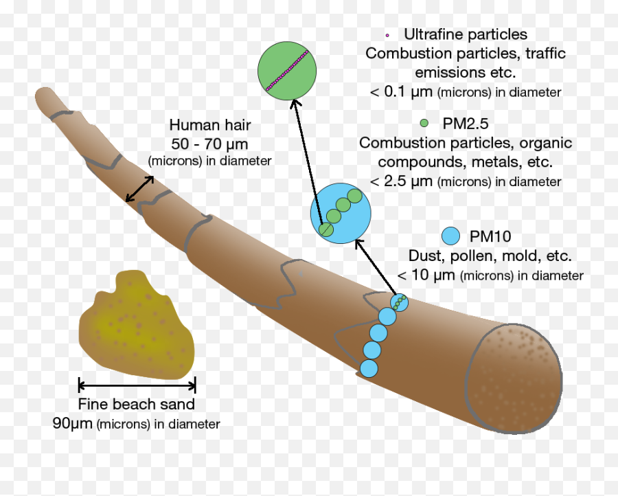 Particulate Matter How Small Is It - Vfa Solutions Particulates Png,Particles Png