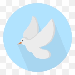 Doves Flying Png - Swallow