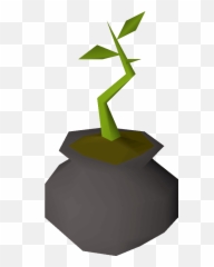 Nice Hedge - Osrs Wiki Png,Hedge Png