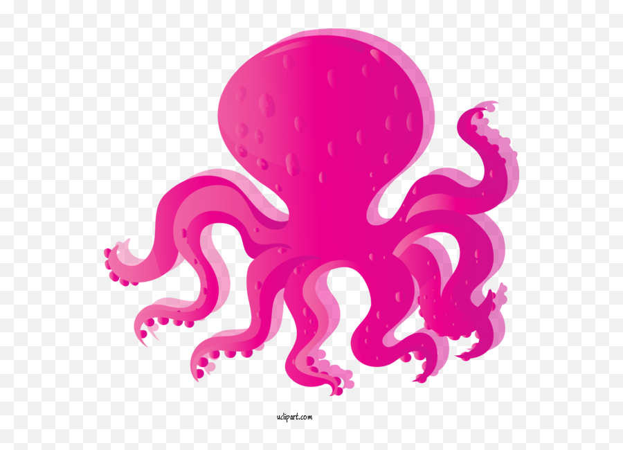 Animals Octopus Giant Pacific For - Common Octopus Png,Octopus Transparent