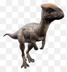 Homalocephale Jurassic World Evolution Wiki Fandom - First Jurassic World Evolution Png,Evolution Png