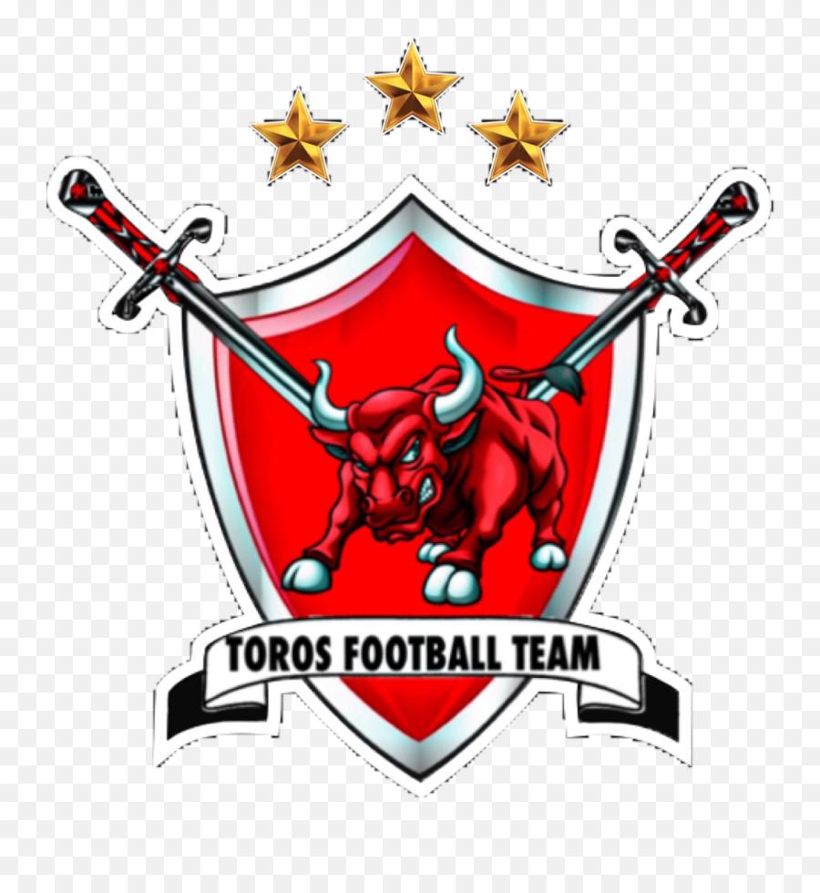 Toros Fb Team Logo 512x512 - Team Logo Png,512x512 Logos