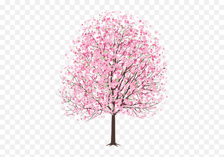 Cherry Blossom Tree Png Hd Transparent - Cherry Blossom Tree Drawing,Cherry Blossoms Transparent