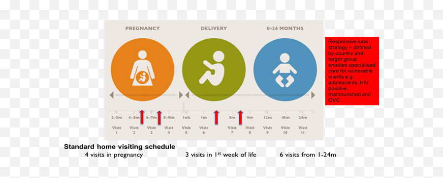 Timed And Targeted Counseling - Language Png,World Vision Icon