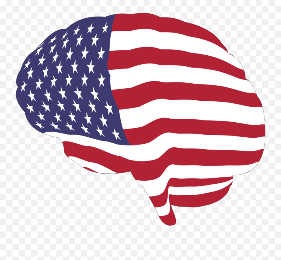 Ai Vector American Flag - American Flag With Brain Png,Waving American Flag Icon