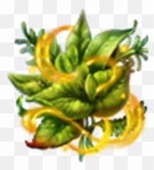 Magical Herbs Dreamfields Wiki Fandom - Clip Art Png,Herbs Png