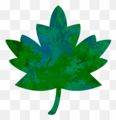 Artistic Leaf Free Stock Photo - Public Domain Pictures Fall Leaves Clipart Green png