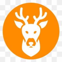 Trophy Taker Taxidermy Top Quality - Affordable Prices Language png