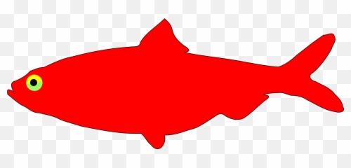 Download See Here Cartoon Fish - Clip Art Red png