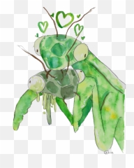 Mantis - Love Paint The Town Citrus Insect Png,Mantis Png