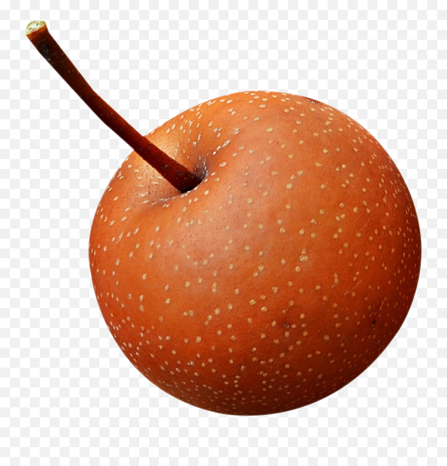 Download Fresh Asian Pear Png Image - Chinese Pear,Pear Png