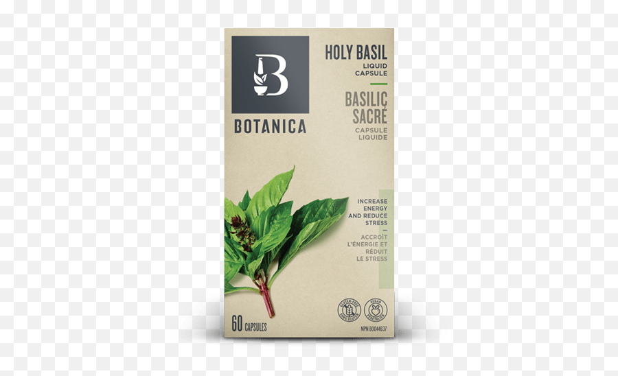 Holy Basil Liquid Capsule Herbs Botanica - Botanica Png,Basil Png