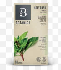 Holy Basil Liquid Capsule Herbs Botanica - Botanica Png,Basil Png