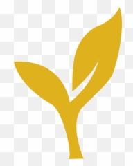 Gold Instagram Logo - Nitro HD Png Download