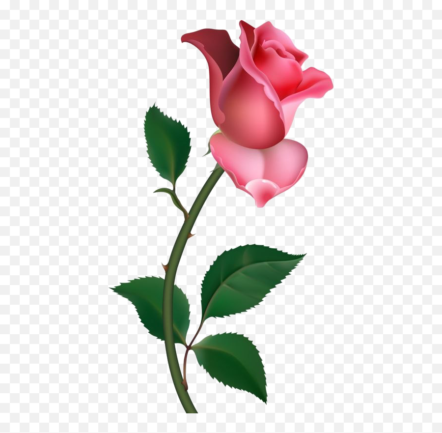 Single Rose Png Pic Arts - Beach Happy Day,Single Flower Png
