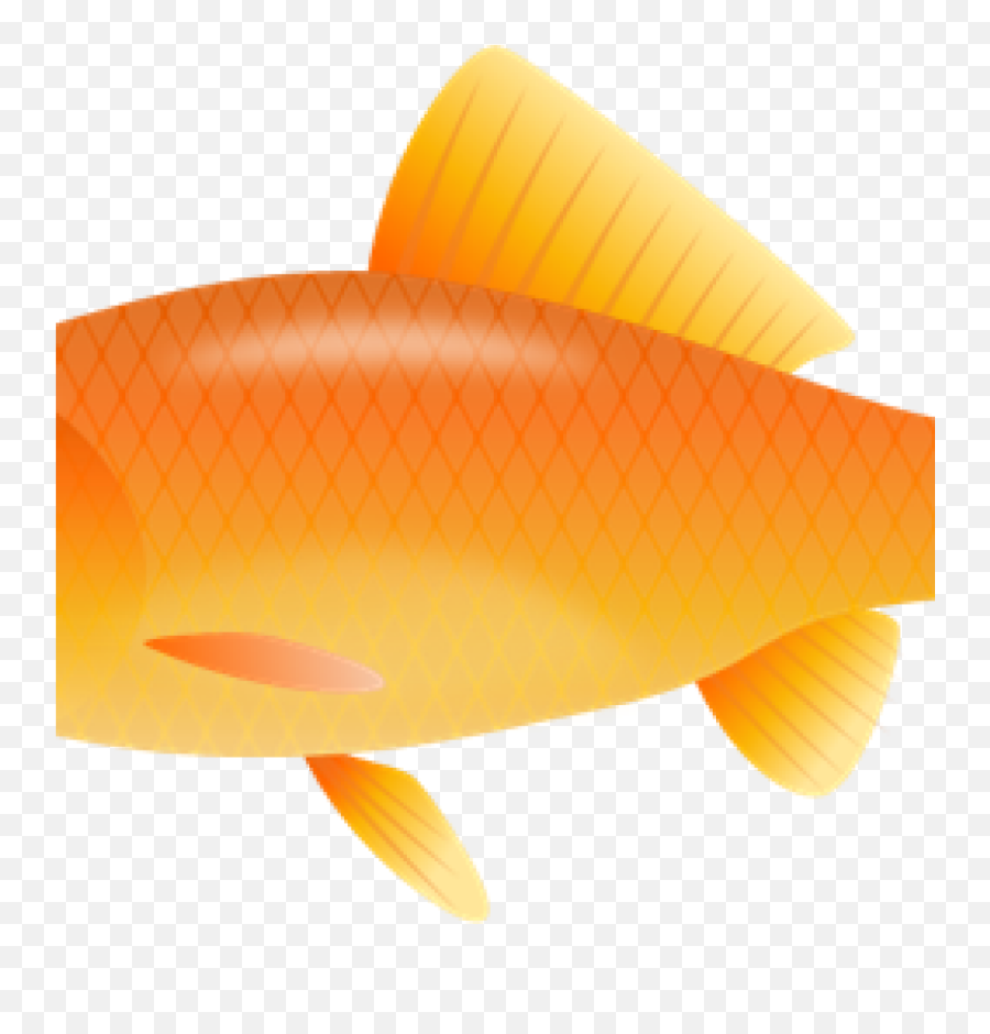 Goldfish Clipart Real - Fish Clipart And Transparent Background Png,Goldfish Transparent Background