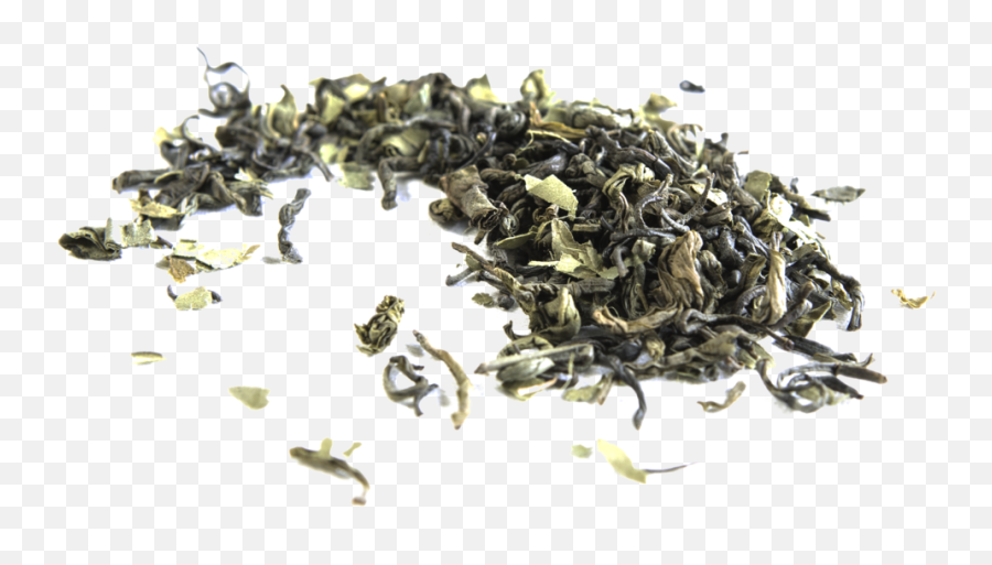 Health Srina - Transparent Background Dry Leaf Png,Tea Leaves Png