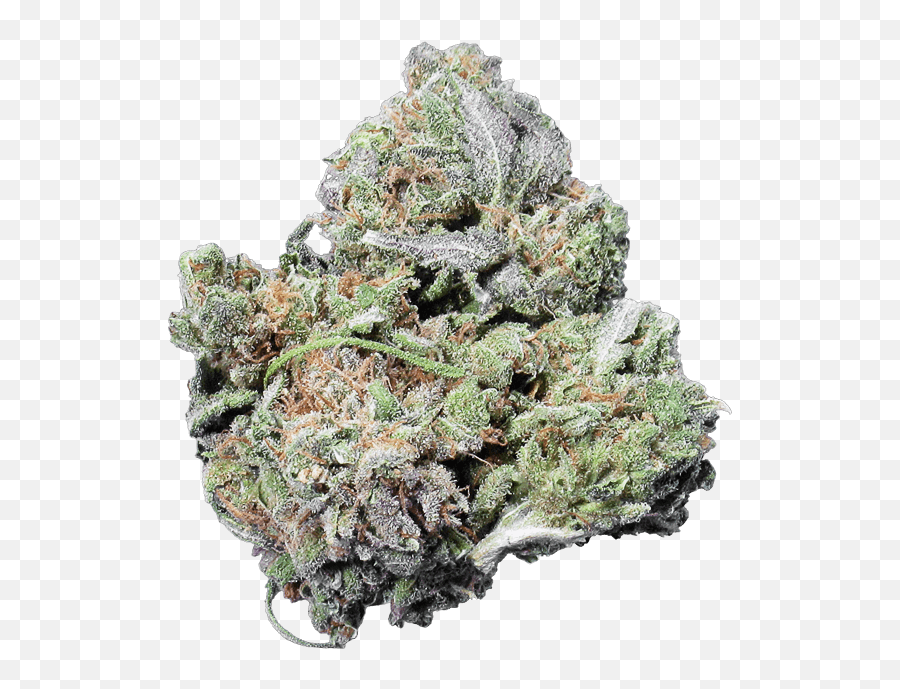Pennywise Cbd - Yellow Fir Png,Pennywise Transparent