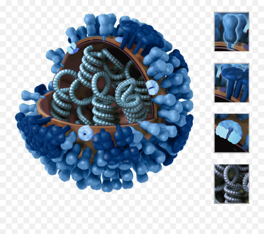 Virus Influenza Transparent Png - Flu Virus,Virus Transparent