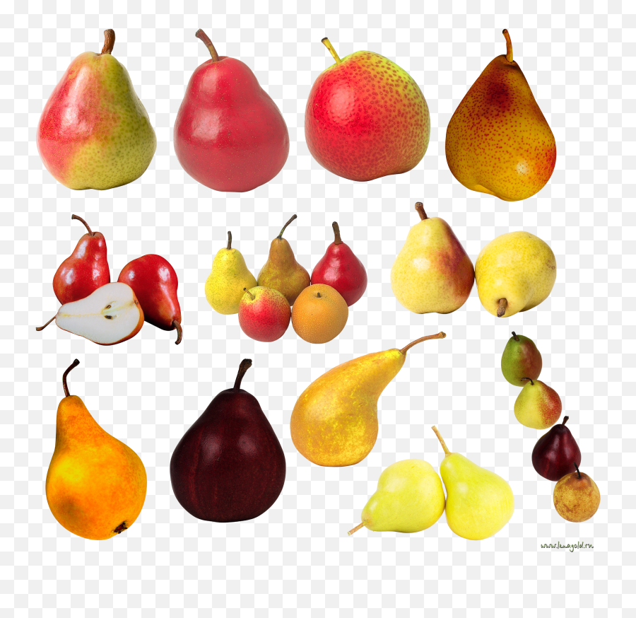 Pear Transparent Png File - Pear,Pears Png