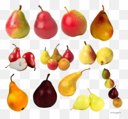 Pear Transparent Png File - Pear,Pears Png