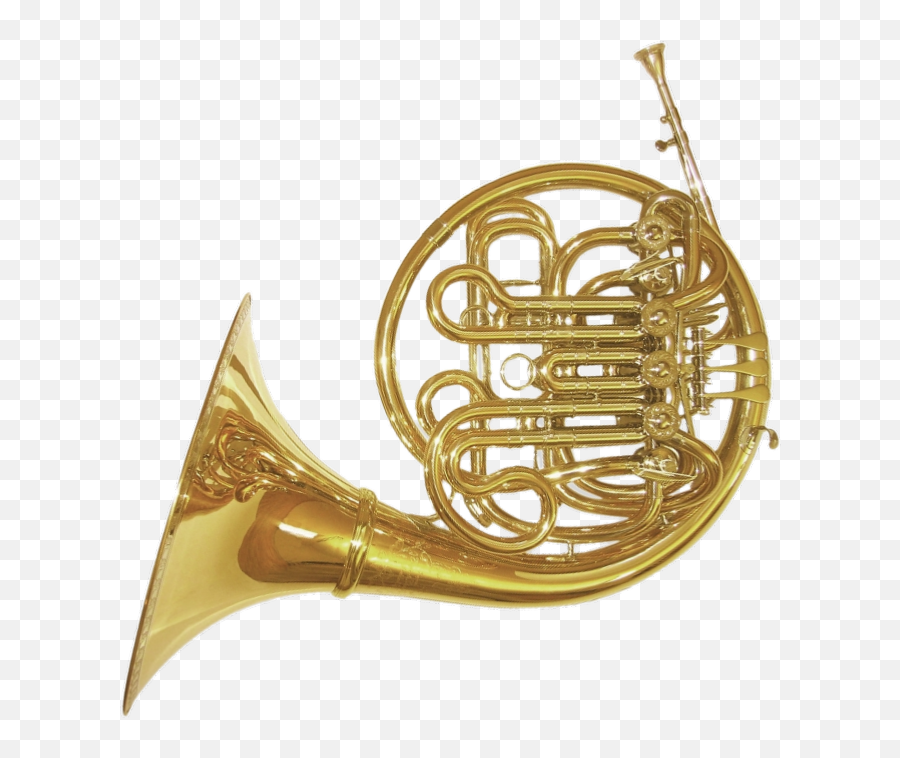Saxhorn French Horns Paxman Musical Instruments Trumpet - Schmid Triple F Horn Png,Trumpet Transparent Background