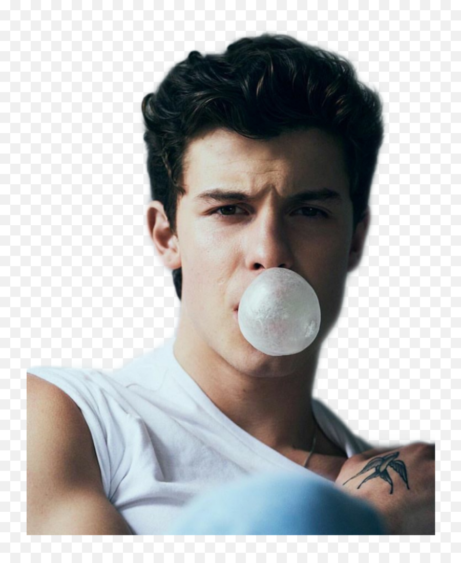 Shawnmendes Sticker - Shawn Mendes Full Size Png Download Shawn Mendes Bubble Gum,Shawn Mendes Png