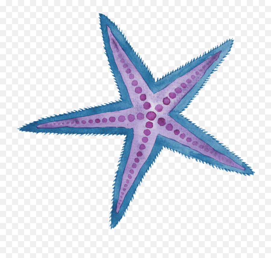 Two Color Hand Painted Starfish Cartoon Watercolor - Purple Watercolor Star Fish Png,Starfish Transparent Background