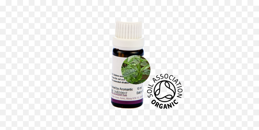 Organic Spearmint Essential Oil - Sacha Inchi Transparent Label Png,Mint Leaves Png