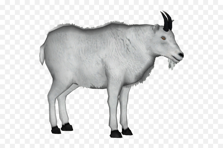 Goat Download Png Image - Mountain Goat Transparent Background,Goats Png