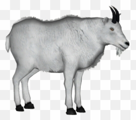 Goat Download Png Image - Mountain Goat Transparent Background,Goats Png