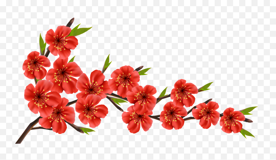 Spring Branch Png Clipart Image - Red Cherry Blossom Transparent,Cherry Blossom Branch Png