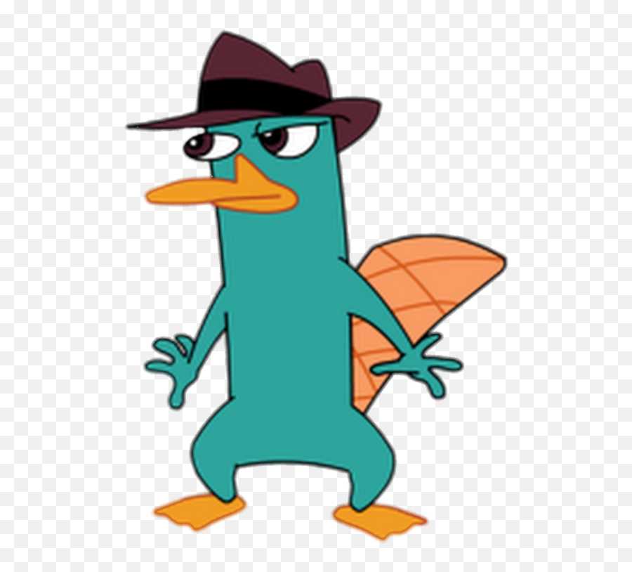 Check Out This Transparent Phineas And Ferb Pet Perry The Png