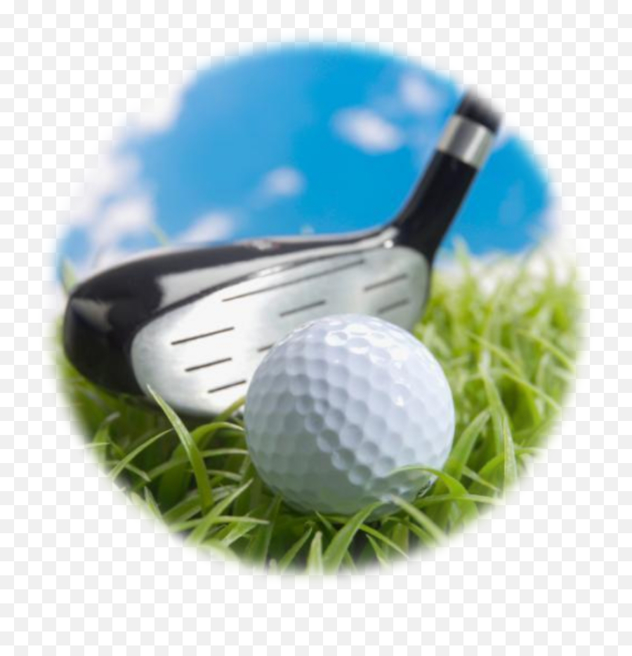 Do Golf Shoes Really Need Spikes - Balls Cartsbags Png,Footjoy Icon Replacement Spikes