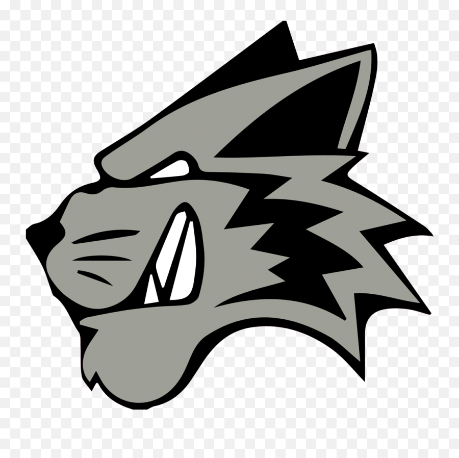 2021 Wildcats Cheerleading Squads - Millard West High School Wildcats Logo Png,Wildcat Icon