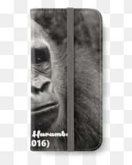 Dcks Out For Harambe Iphone Wallet - Macaque Png,Harambe Transparent