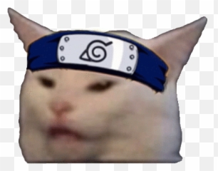 Anime Cat Sticker - Meme Discover u0026 Share GIFs Faces Funny png