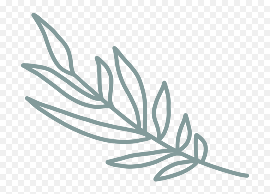 Restored Purpose Counseling Png Olive Leaf Icon