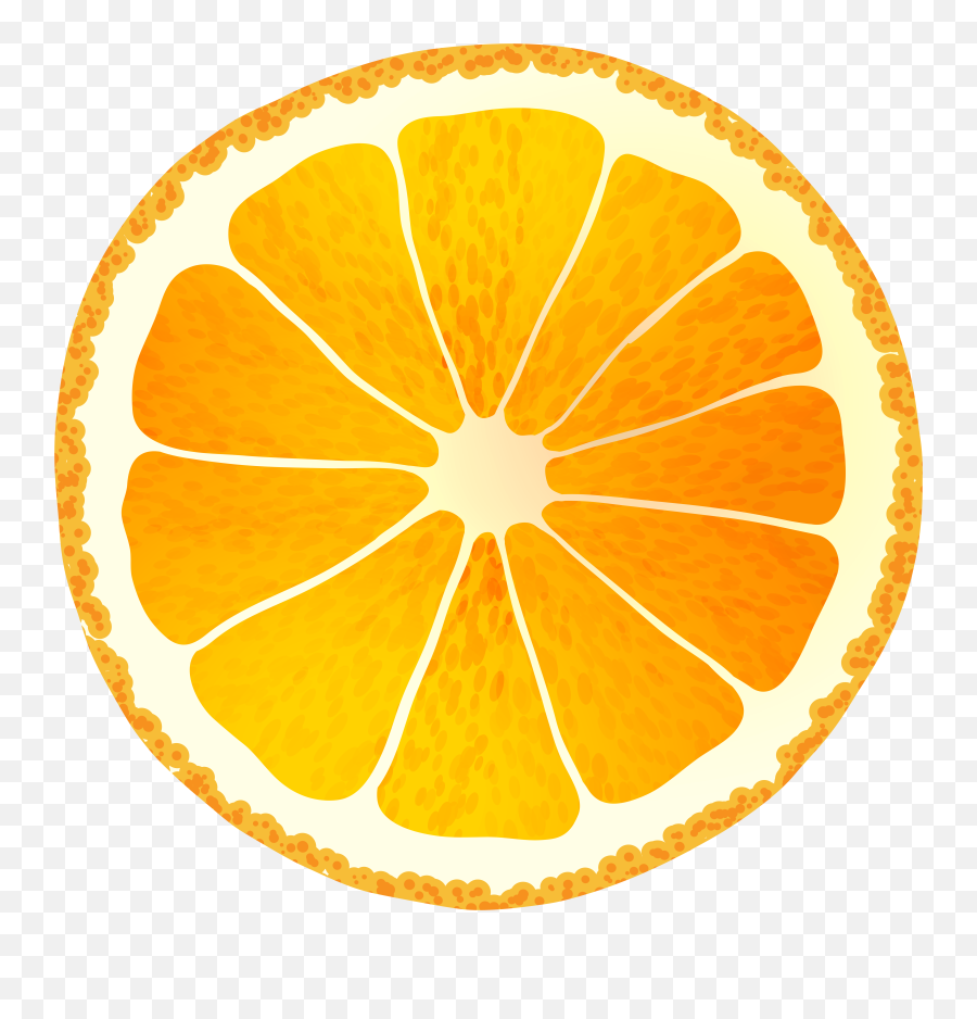 Circle Orange Slice Png Clipart Image