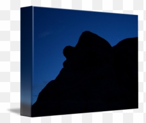 Elmer Fudd Asleep By Nicholas Curtis - Summit Png,Elmer Fudd Png