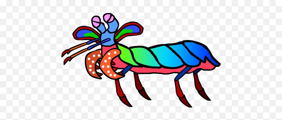 Mantis Shrimp Clipart - Full Size Clipart 2975750 Mantis Shrimp Drawing Png,Mantis Png