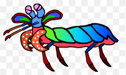 Mantis Shrimp Clipart - Full Size Clipart 2975750 Mantis Shrimp Drawing Png,Mantis Png