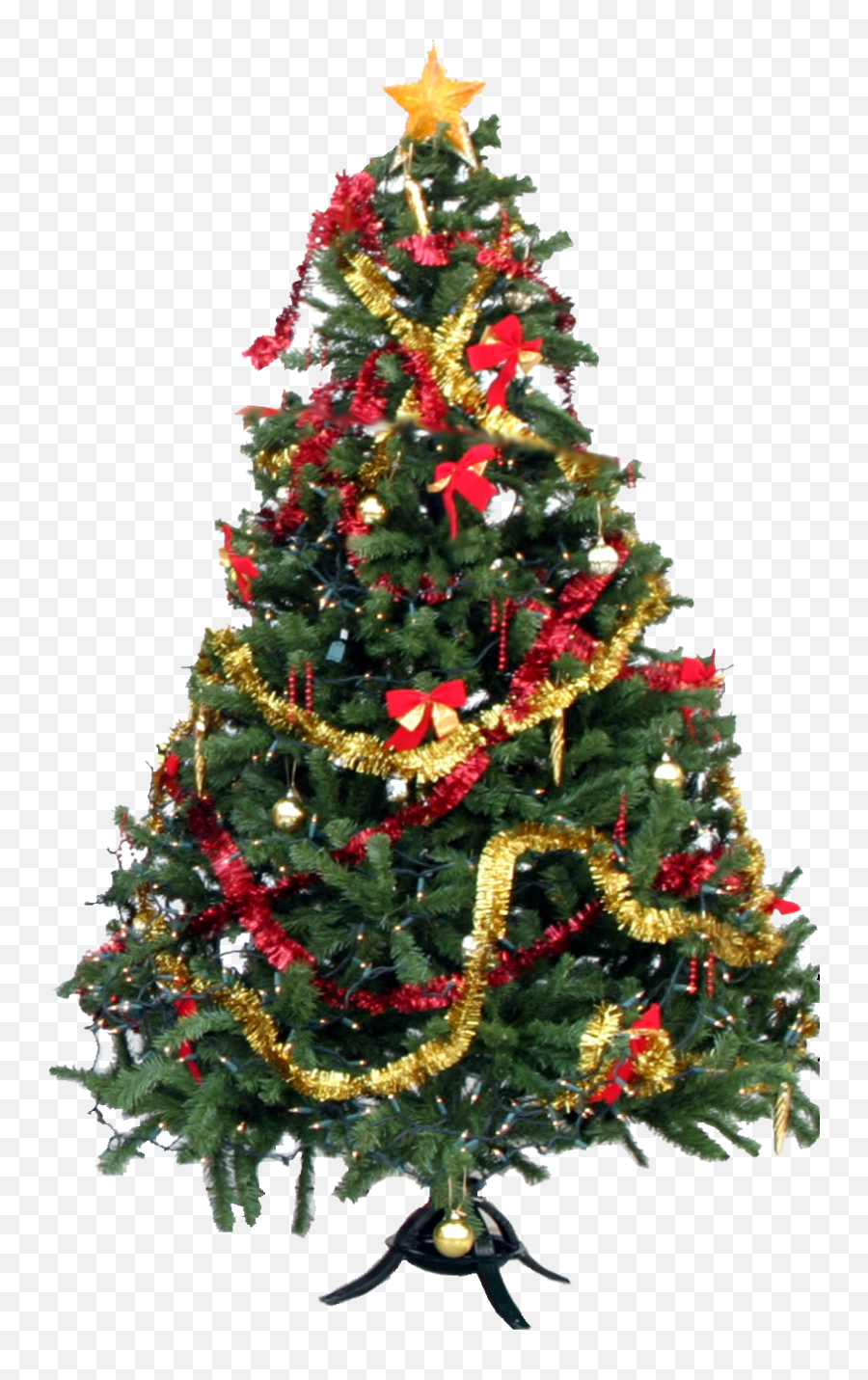 Png - High Resolution Christmas Tree Png,Christmas Tree Transparent Background