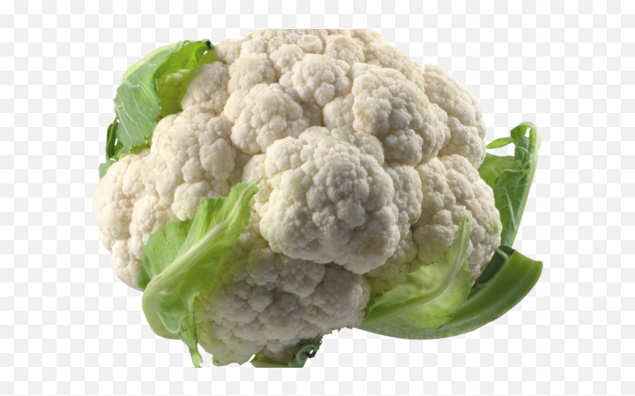 Png Transparent Images 24 Cabbage