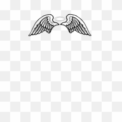 Free Transparent Angel Wings Png Images Page 7 Pngaaa Com - roblox angel wings with halo roblox free usernames